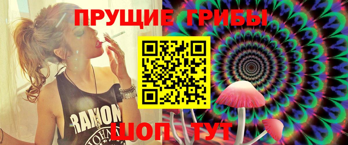 Галлюциногенные грибы Cubensis  Вход с VPN  Павлово 